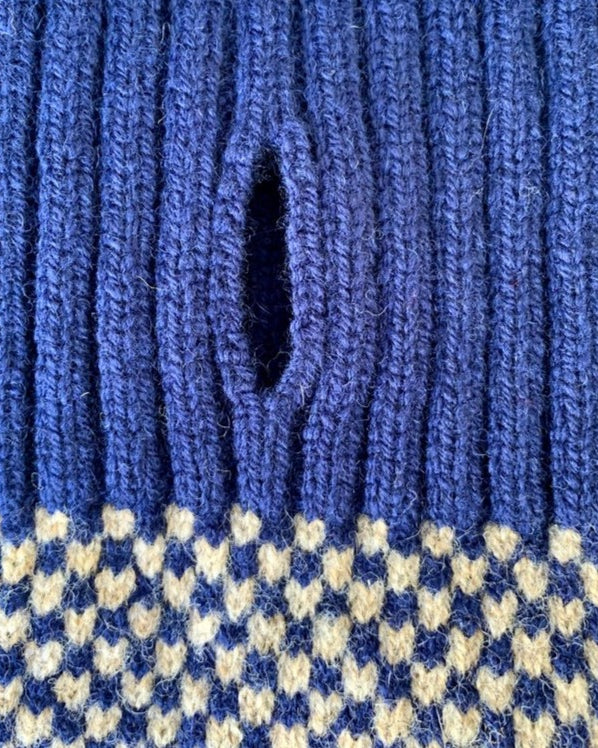 navy dog jumper with a hole for a lead