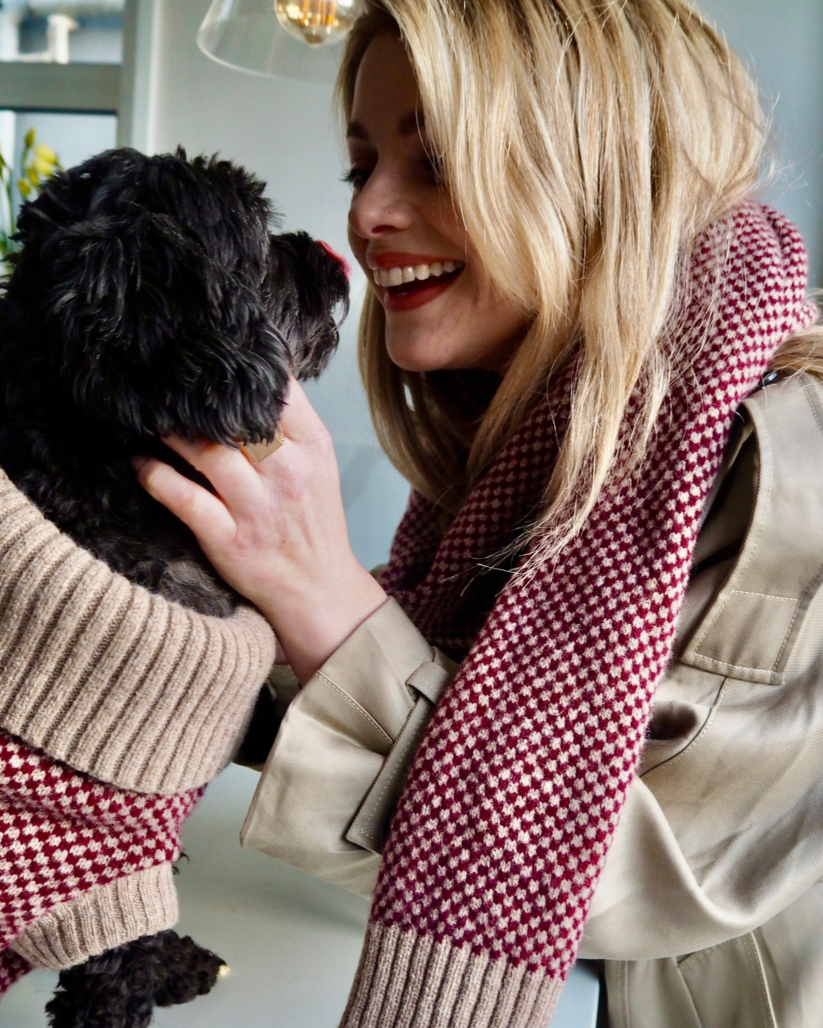 burgundy dog jumper and matching scarf
