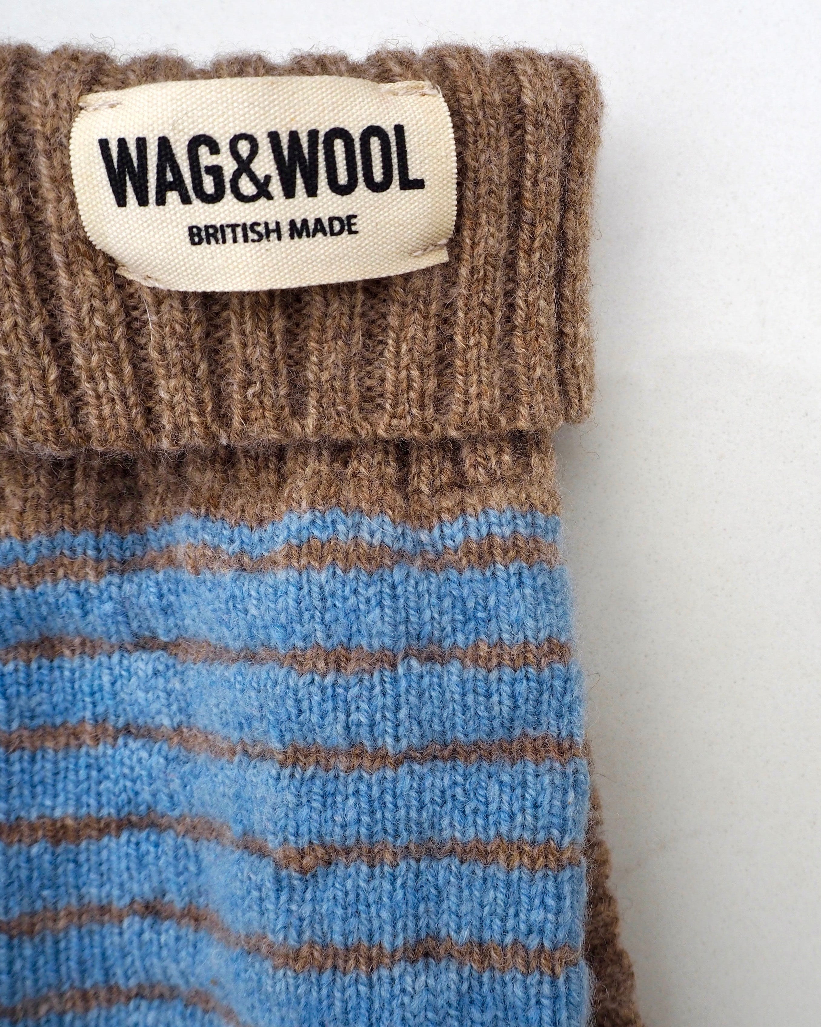 dog jumper closeup