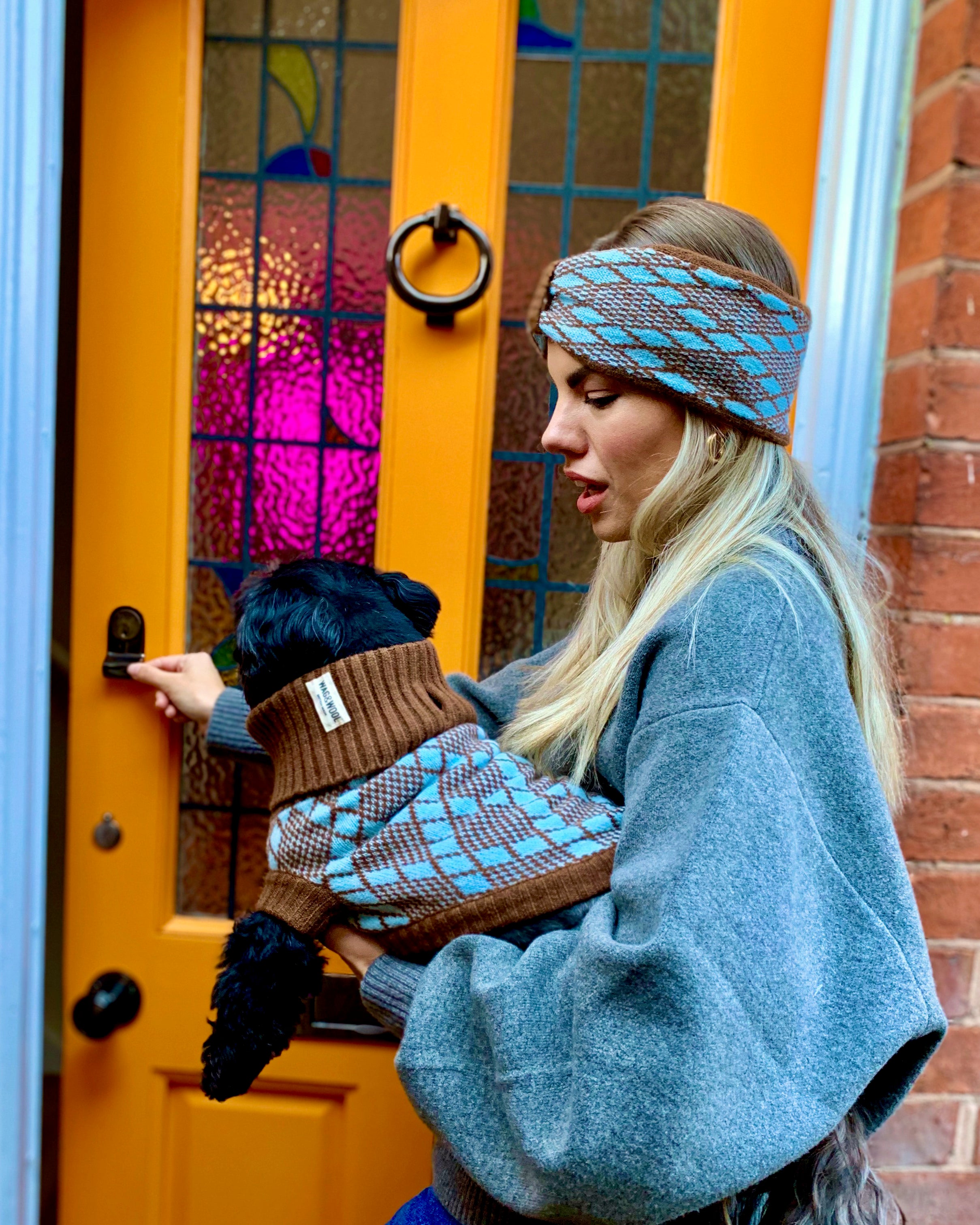 Turquoise And Brown Dog Jumper and Matching Headband