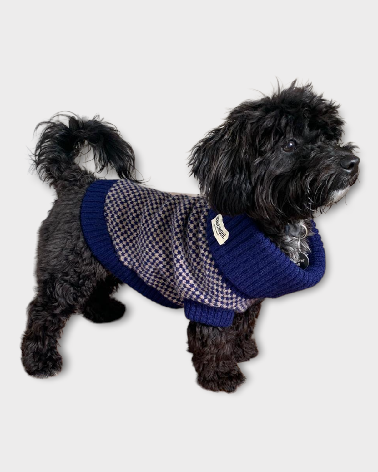 check puppy jumper in navy