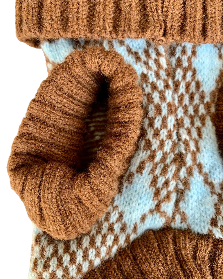 dog jumper legs