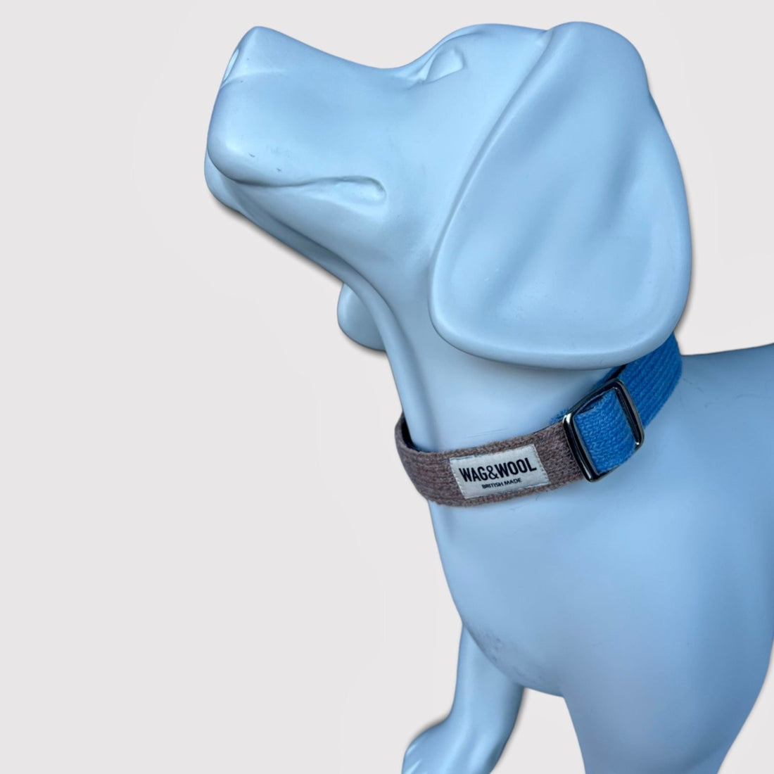sky blue dog collar 