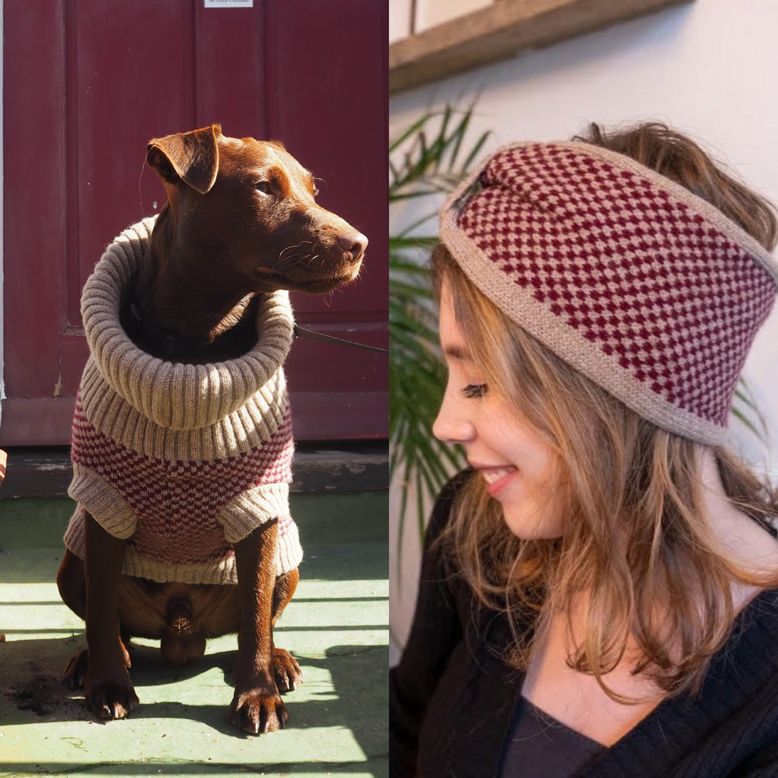 Burgundy Dog Jumper and Matching Headband
