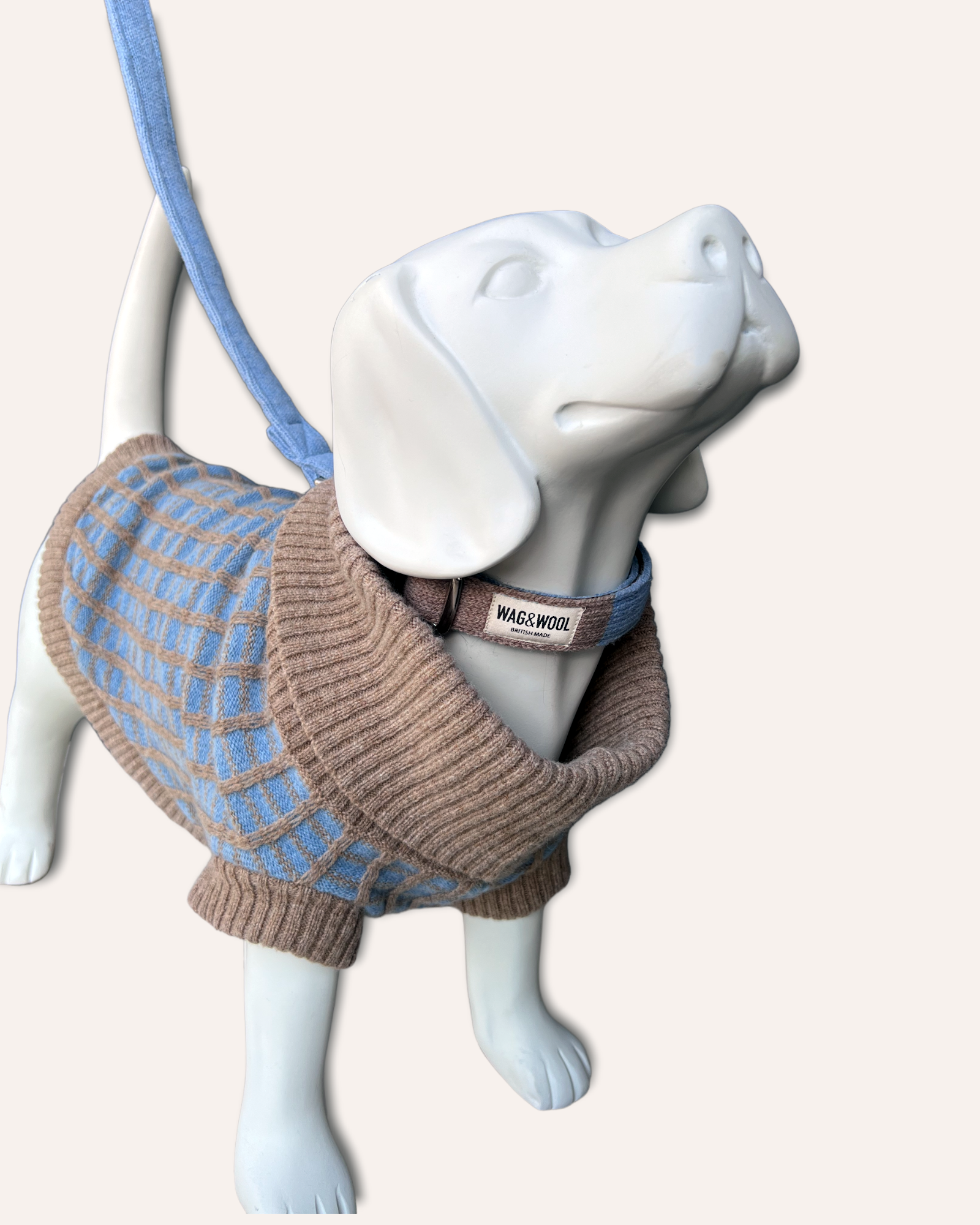 dog mannequin in a jumper