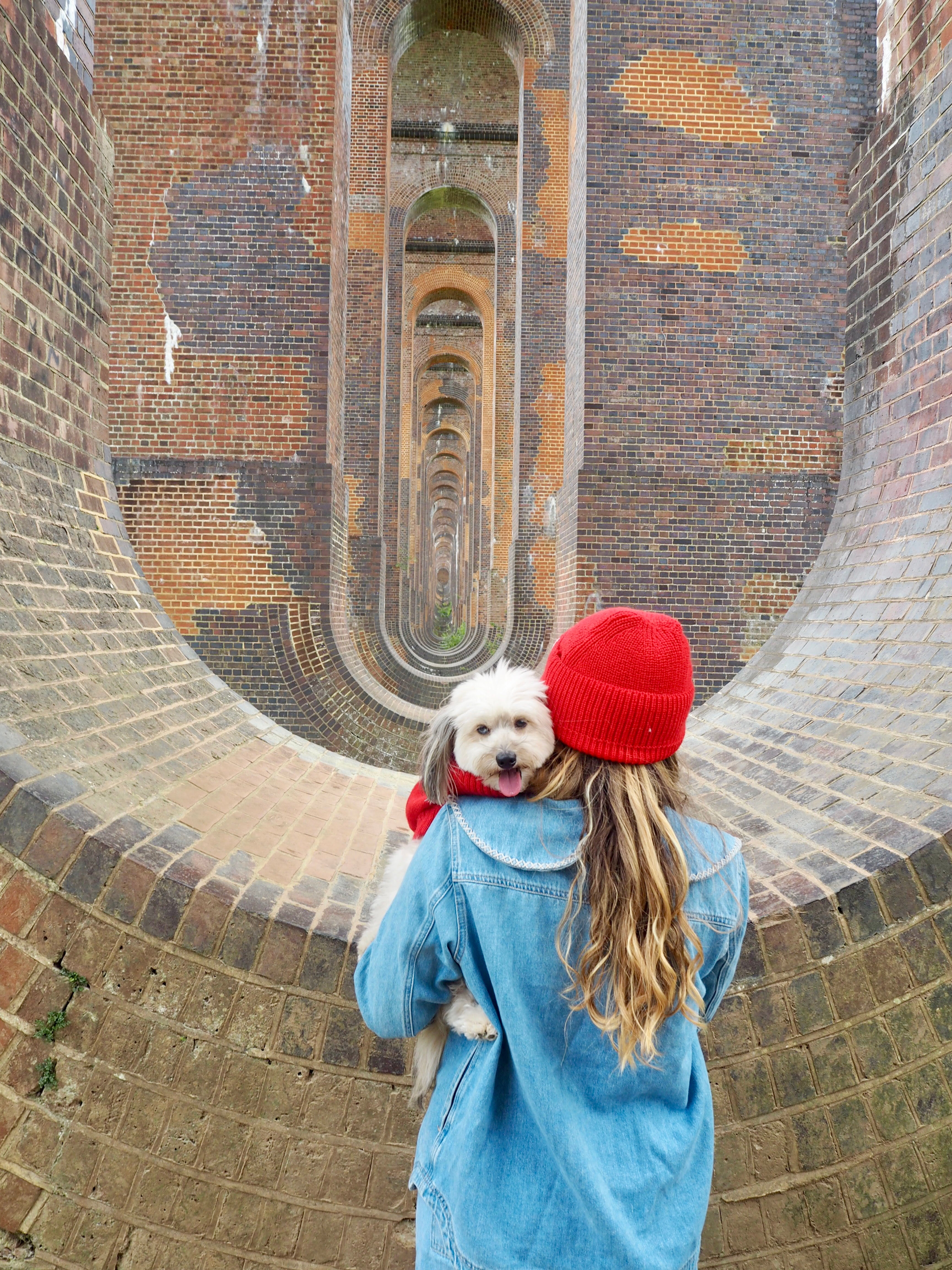 Orange dog jumper and matching human hat
