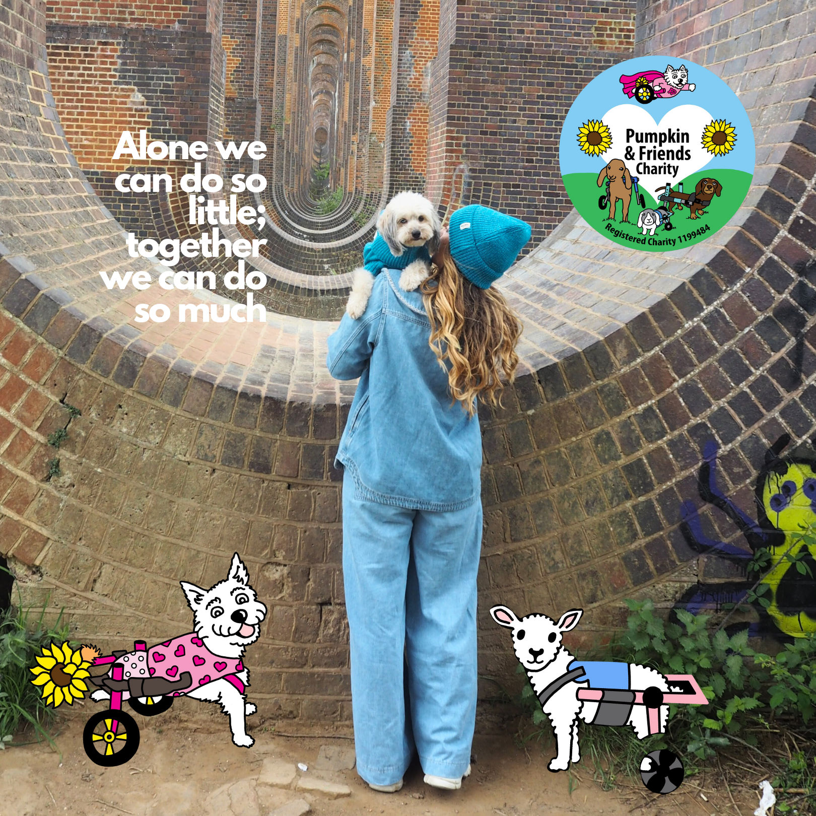 How WAG&WOOL Supports Pumpkin and Friends: Helping Animals with Disabilities