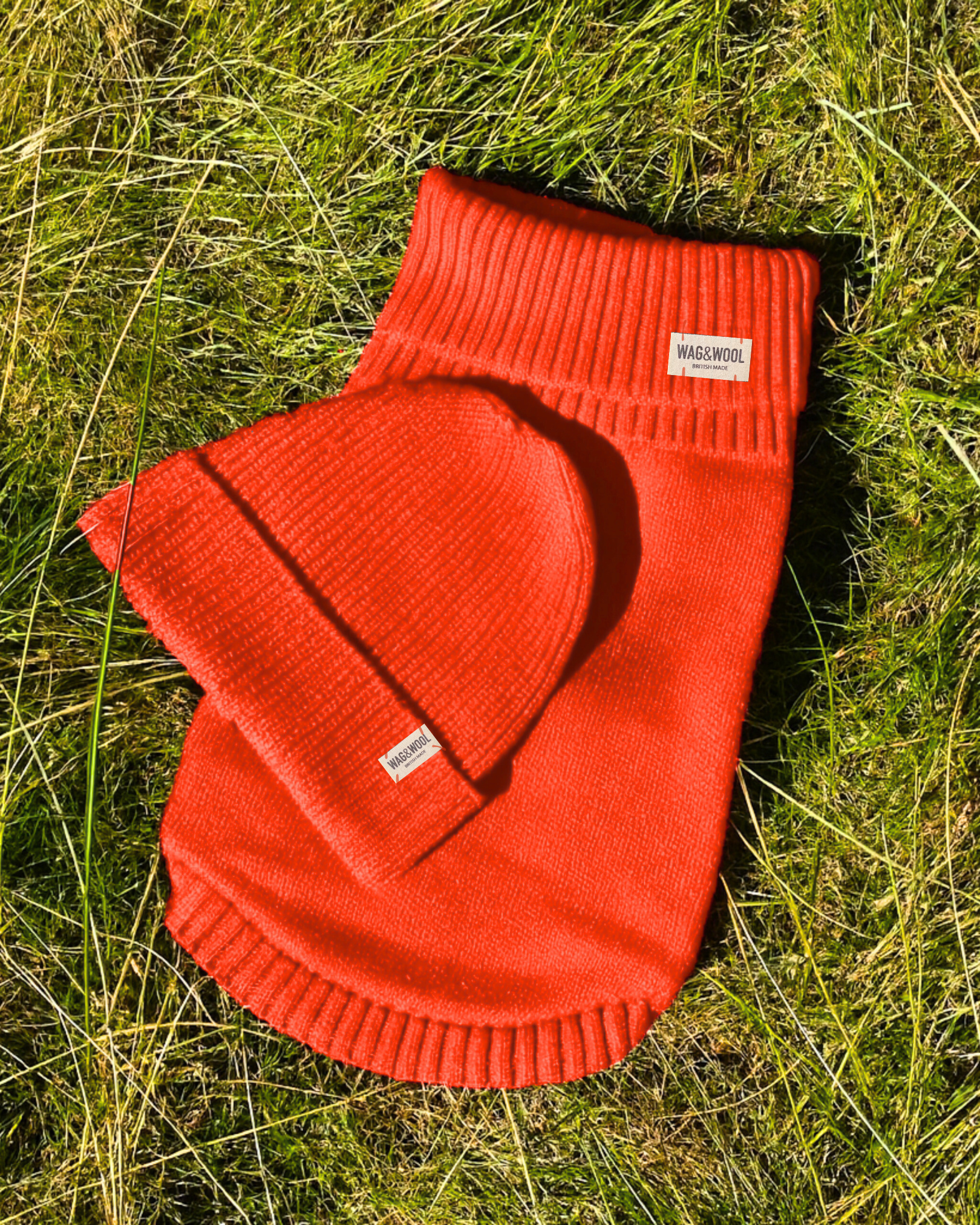 orange dog jumper and matching beanie hat 