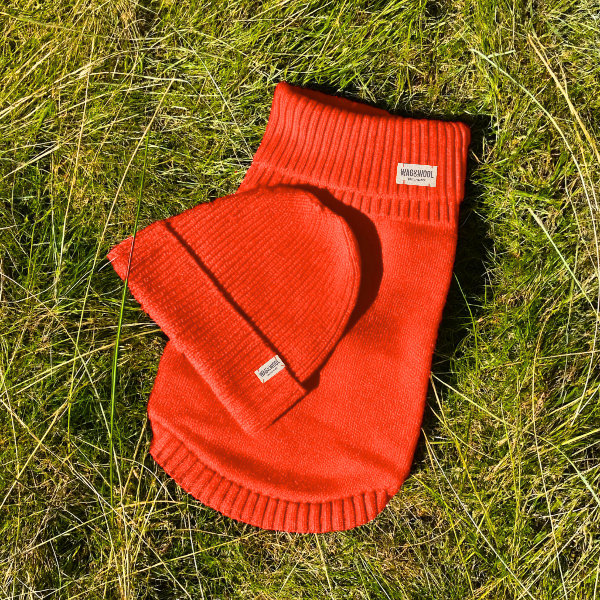 orange dog jumper and matching beanie hat 