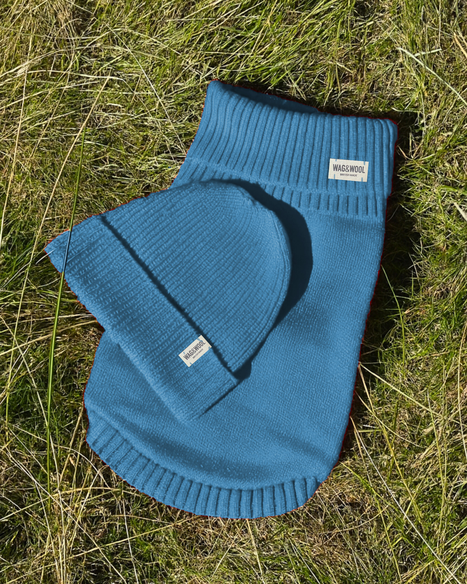 blue dog jumper and matching beanie hat 
