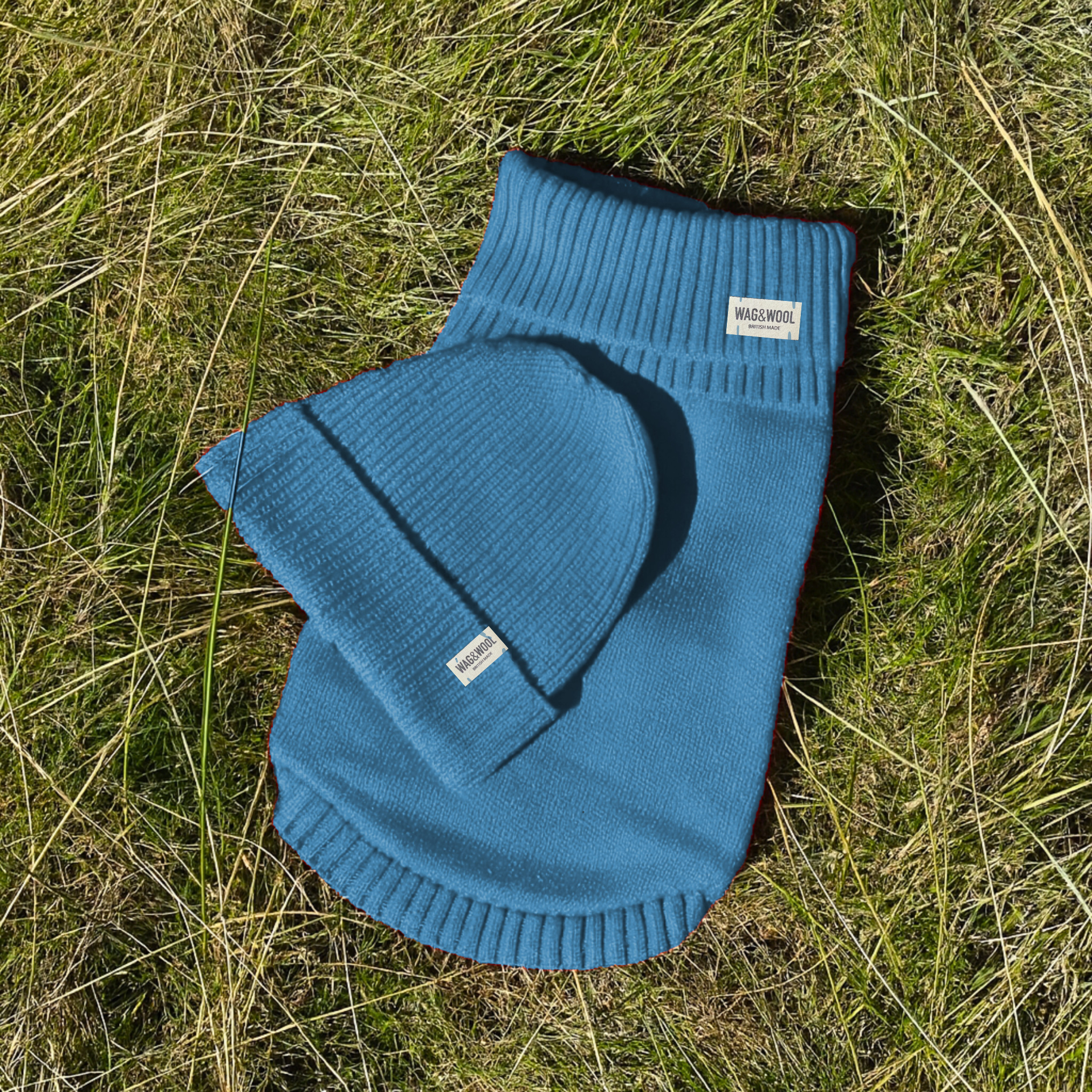 blue dog jumper and matching beanie hat 
