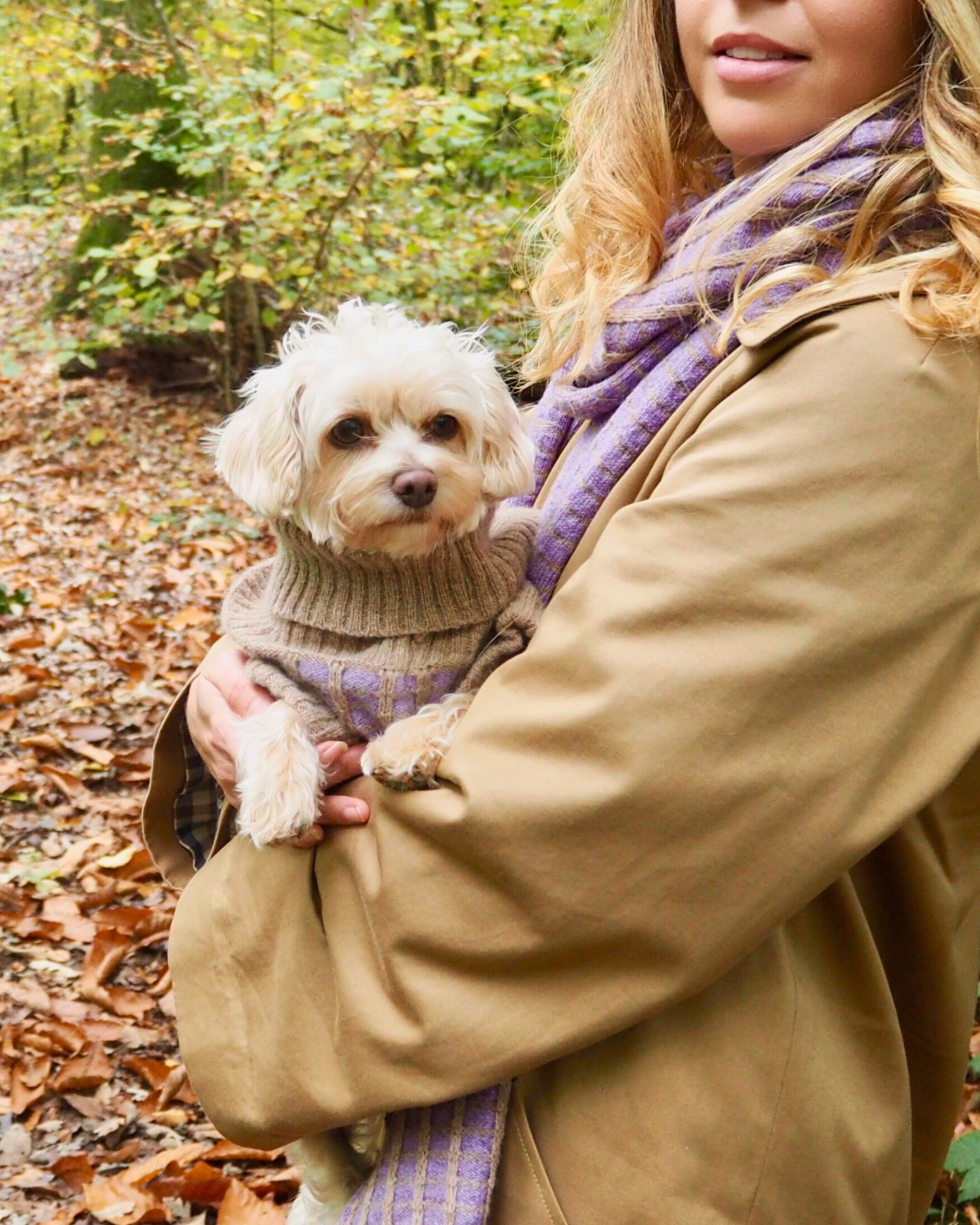 matching dog gift in purple