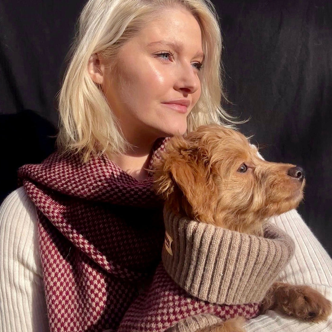 Burgundy Dog Jumper and Matching Scarf
