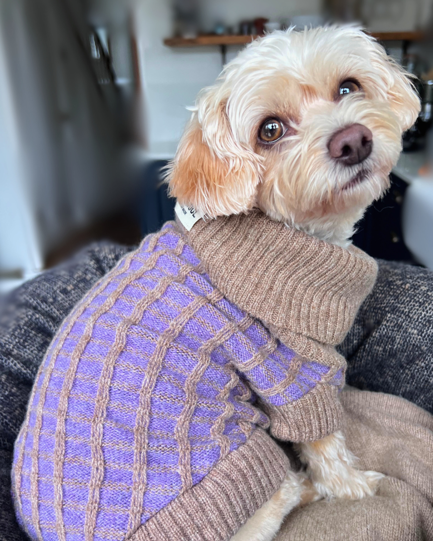 Purple Dog Jumper
