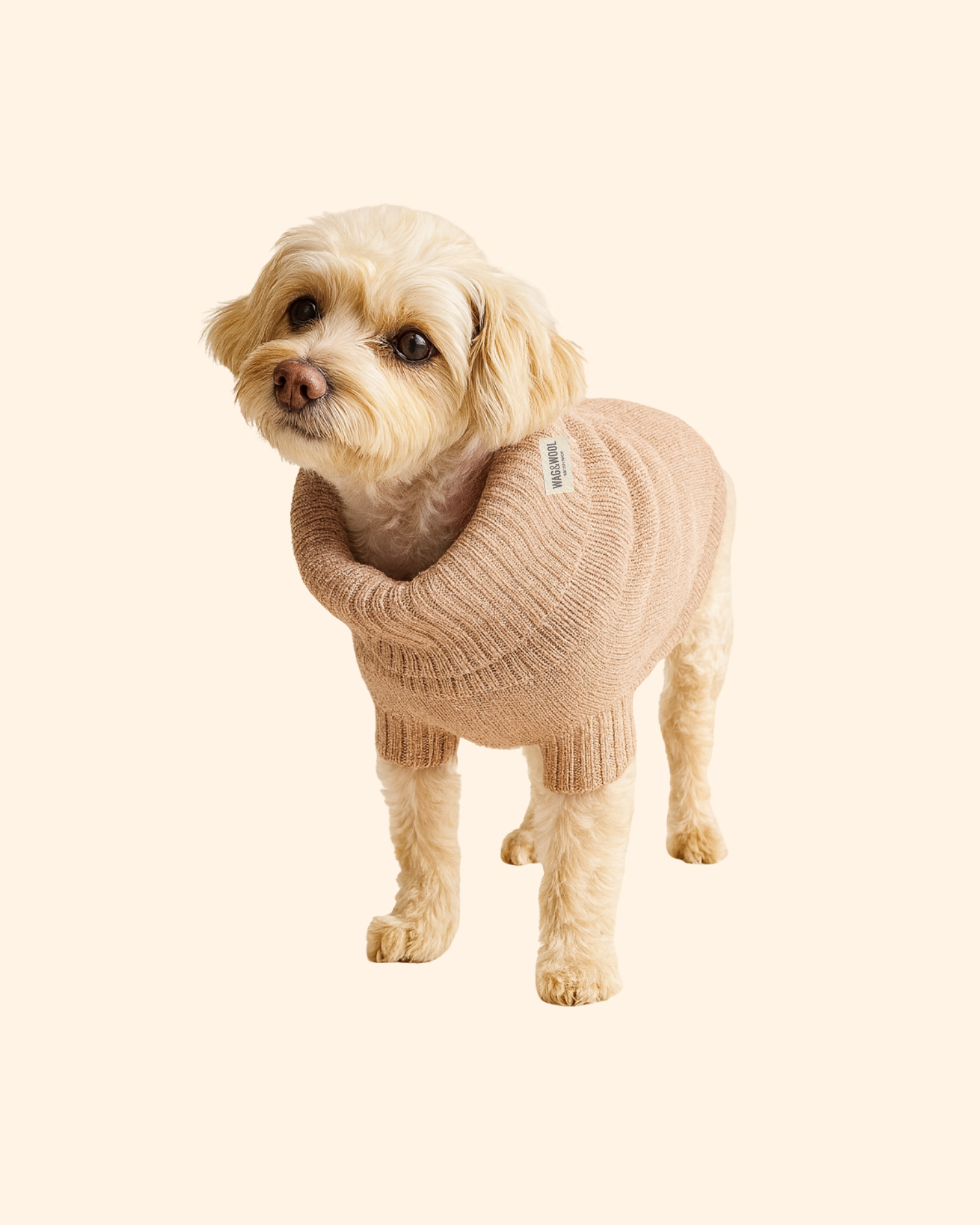 Oatmeal wool dog jumper 