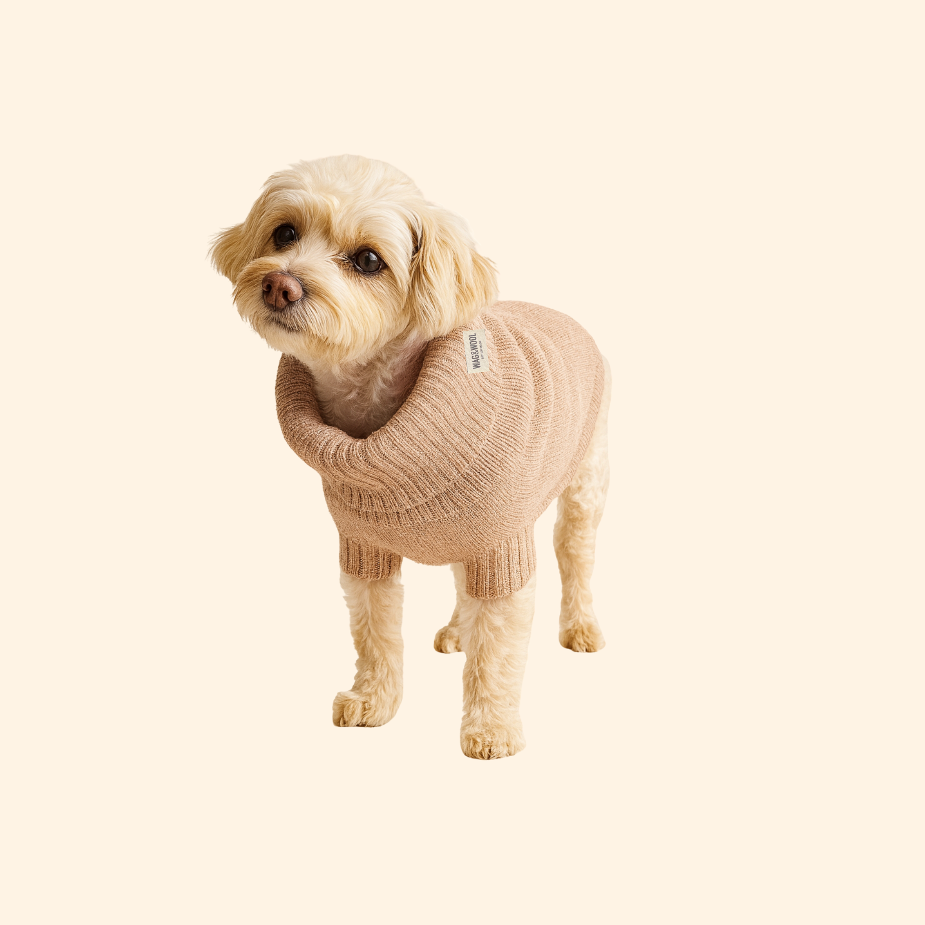 Oatmeal wool dog jumper 
