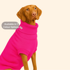 extra large wool dog jumper 