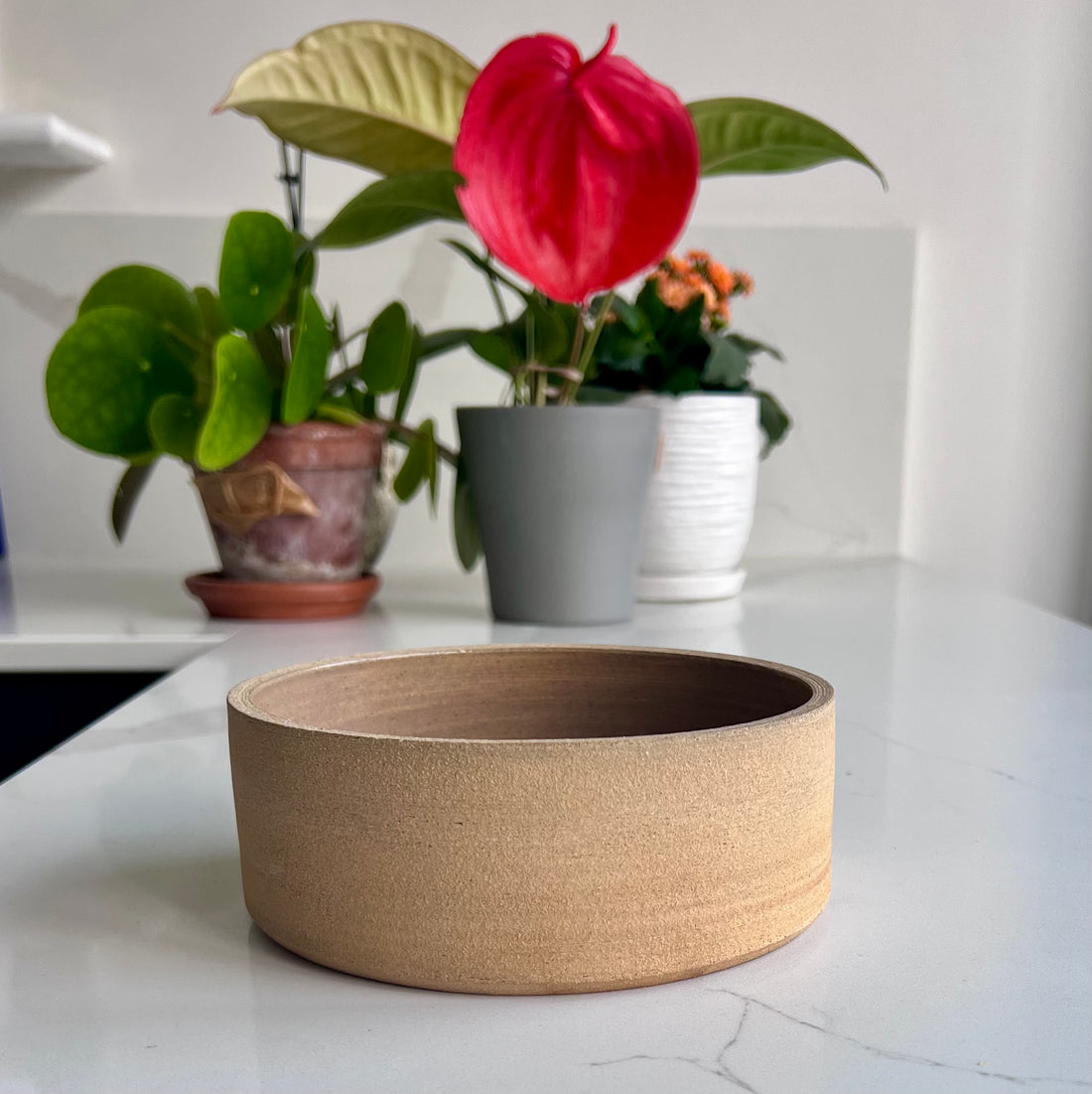 brown dog bowl in front of flowers