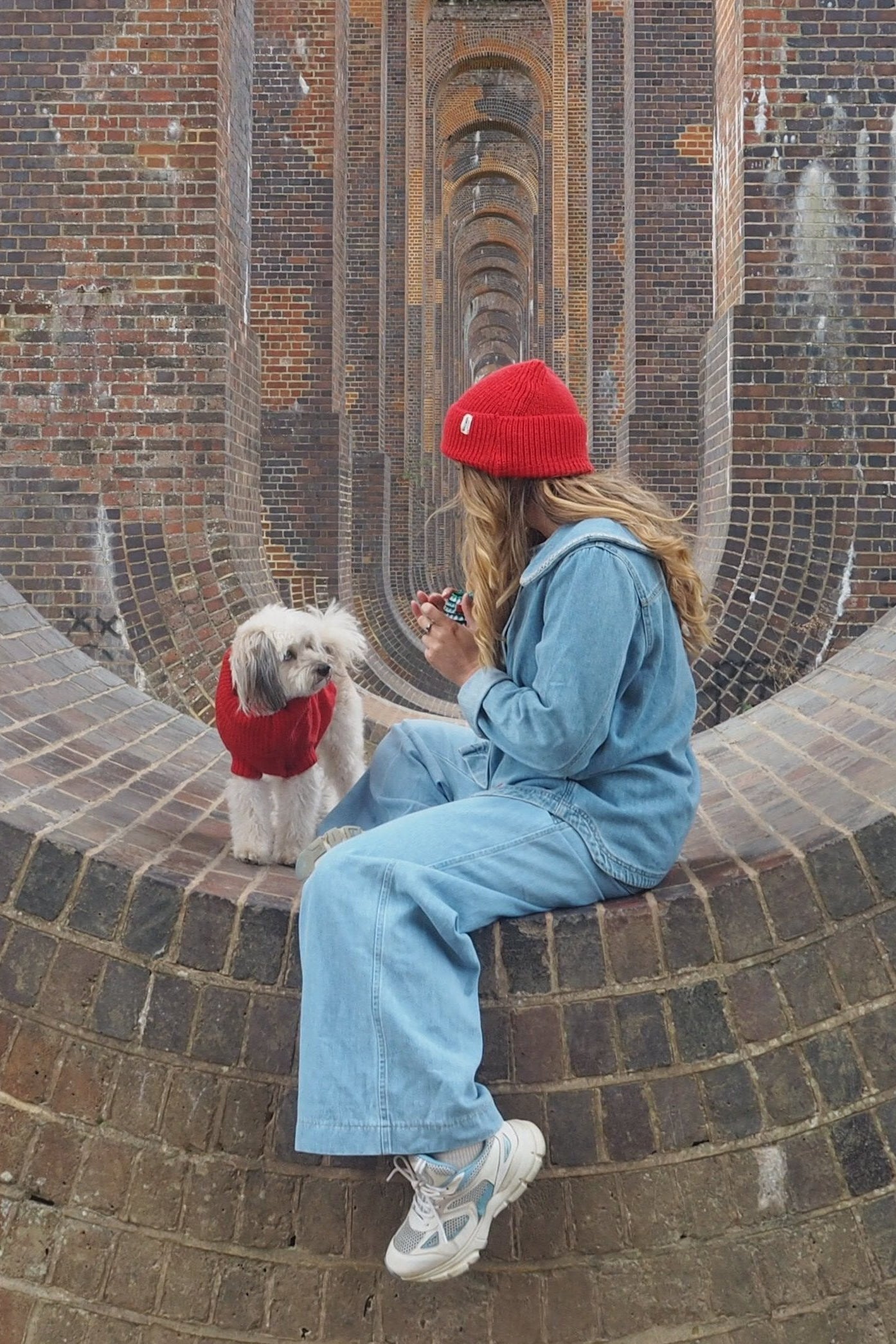 A person sitting on a brick structure with a small dog wearing a matching cherry red wool jumper.