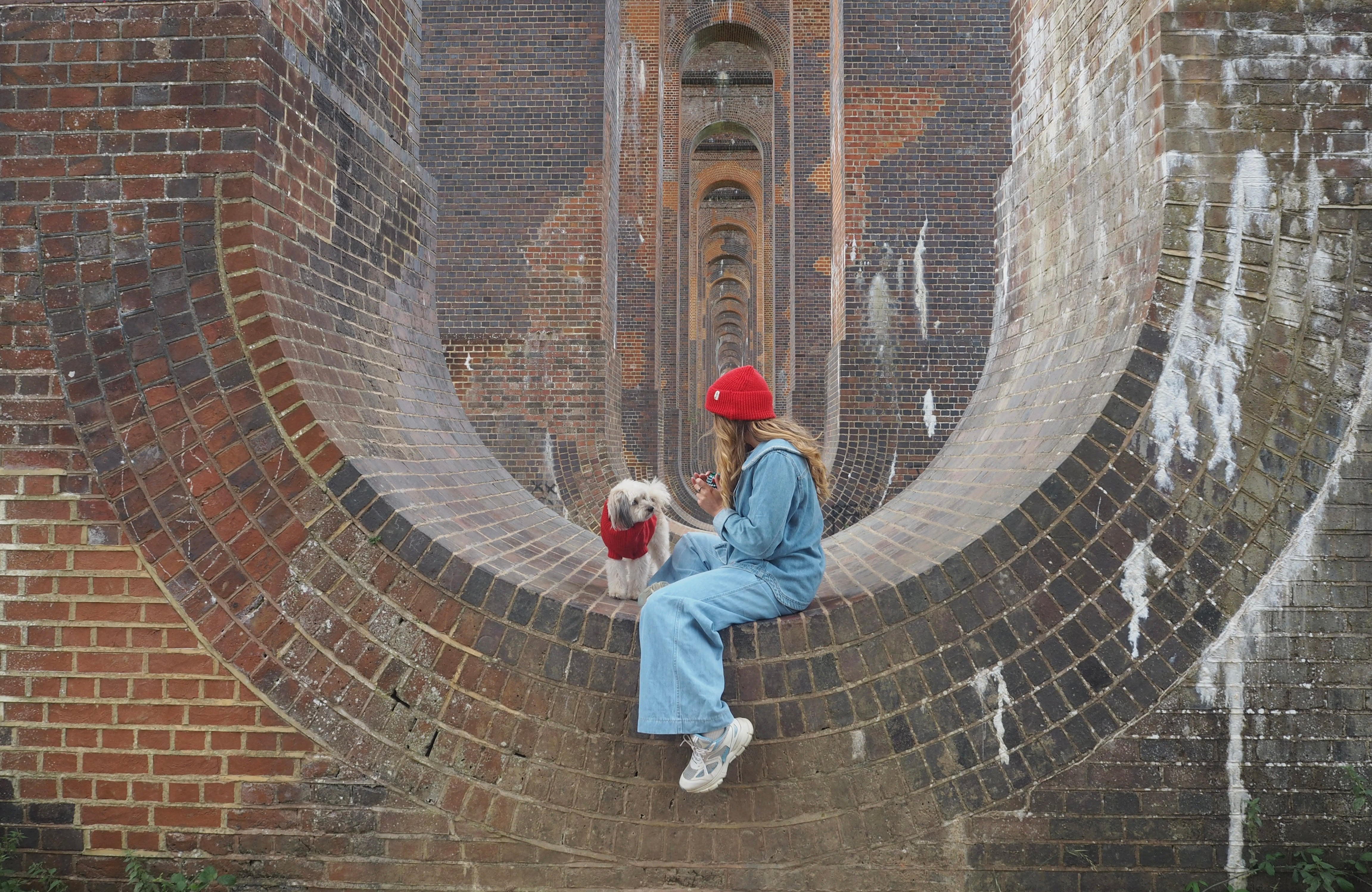 Luxury gifts for dogs