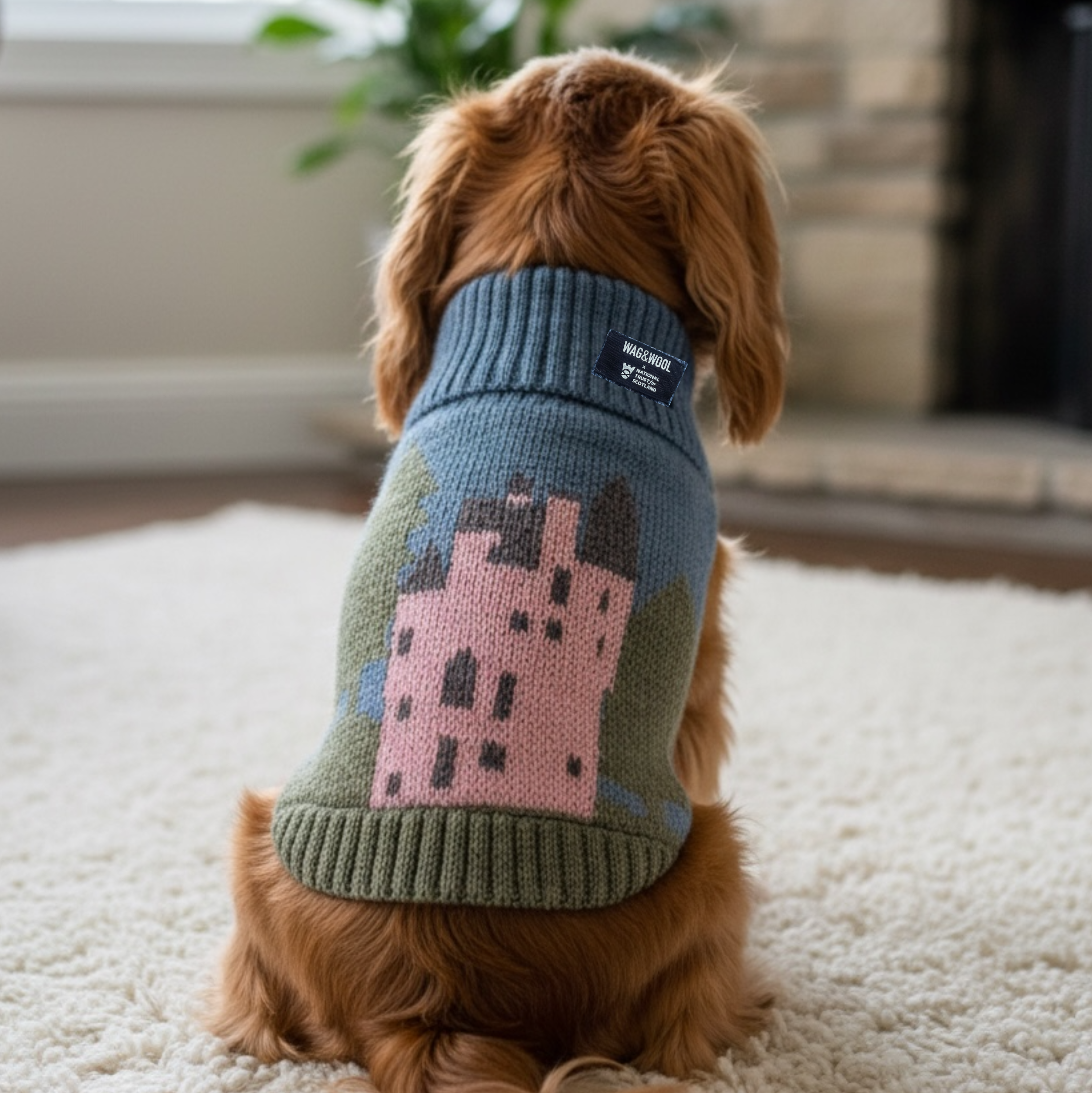 Dog wearing a sweater with a castle design, sitting on a carpeted floor.