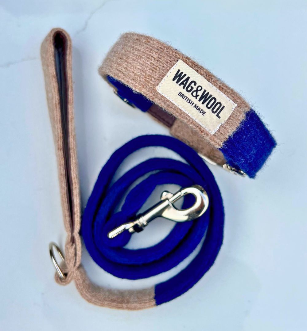 navy dog collar and lead set