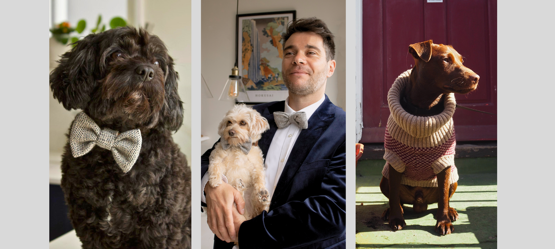 WAG and WOOL
