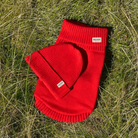 cherry red dog jumper and matching beanie hat