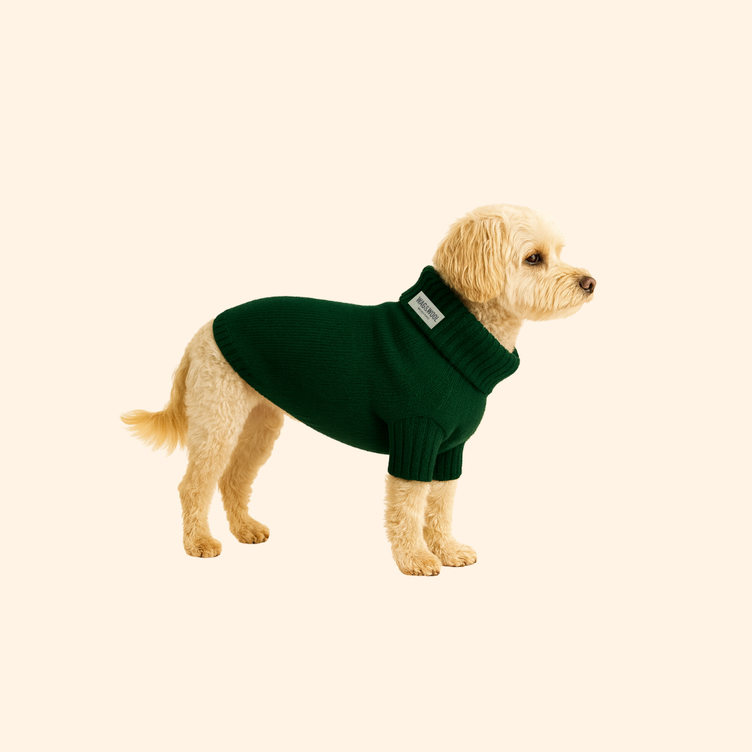 forest green wool dog jumper 