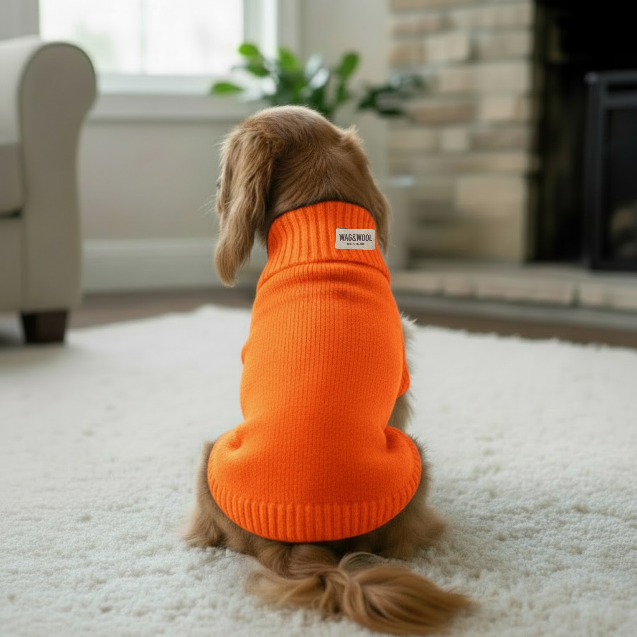 Dog wearing an orange sweater with a brand label in a living room setting.