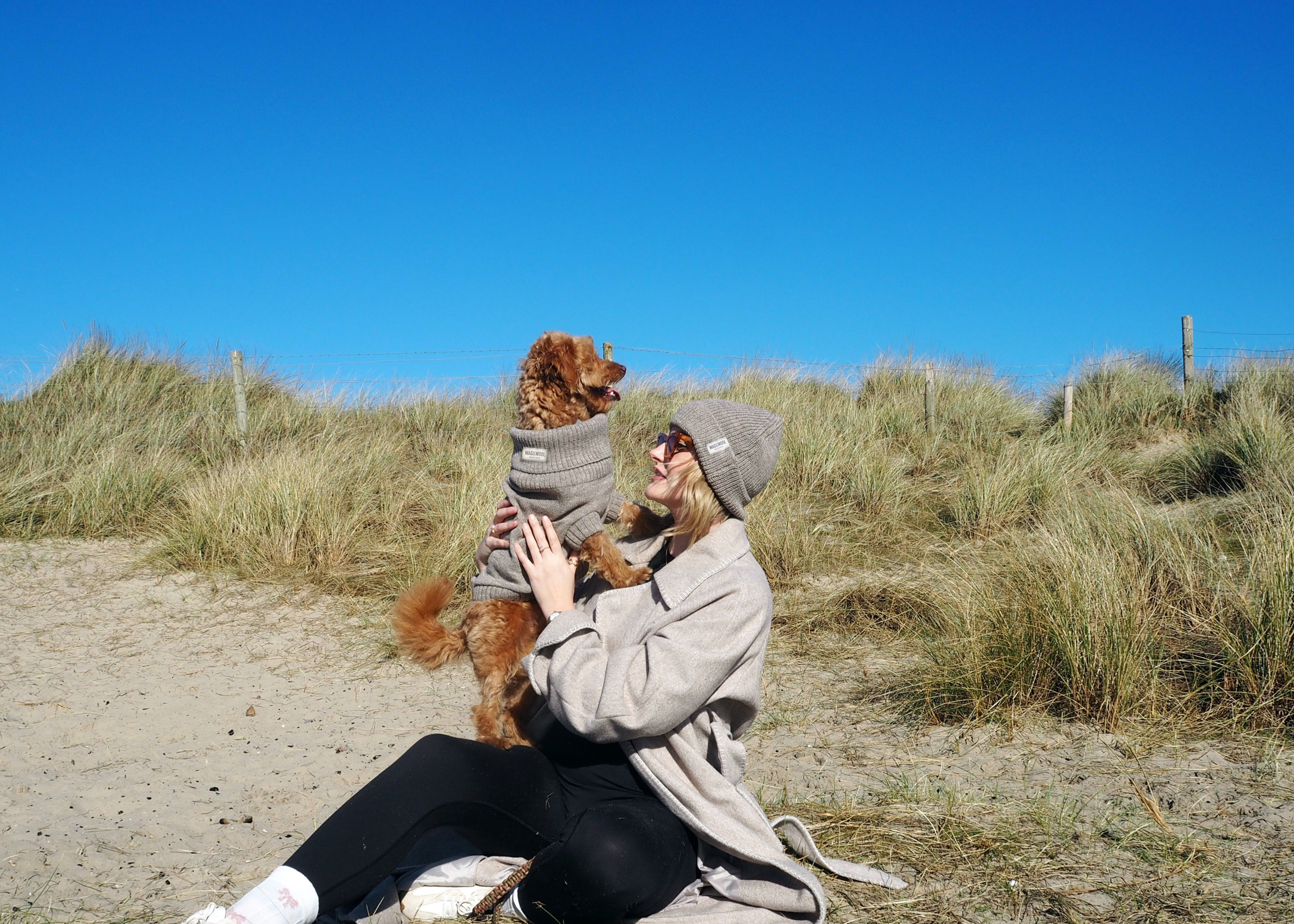 dog and owner matching