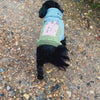pink castle dog jumper on a black cavapoo