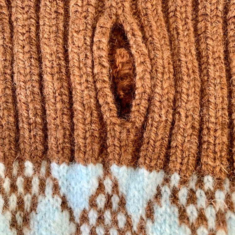 turquoise and brown dog jumper with a lead hole 