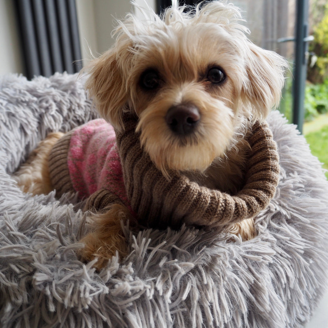 Pink Argyle Dog Jumper