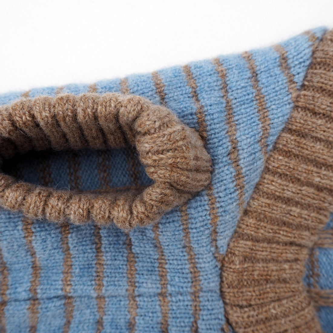 dog jumper legs 