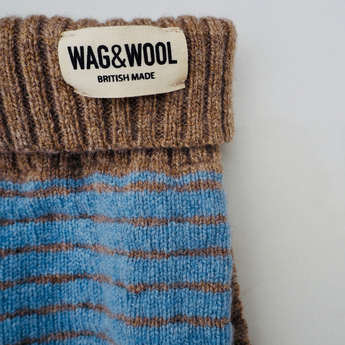 puppy jumper closeup