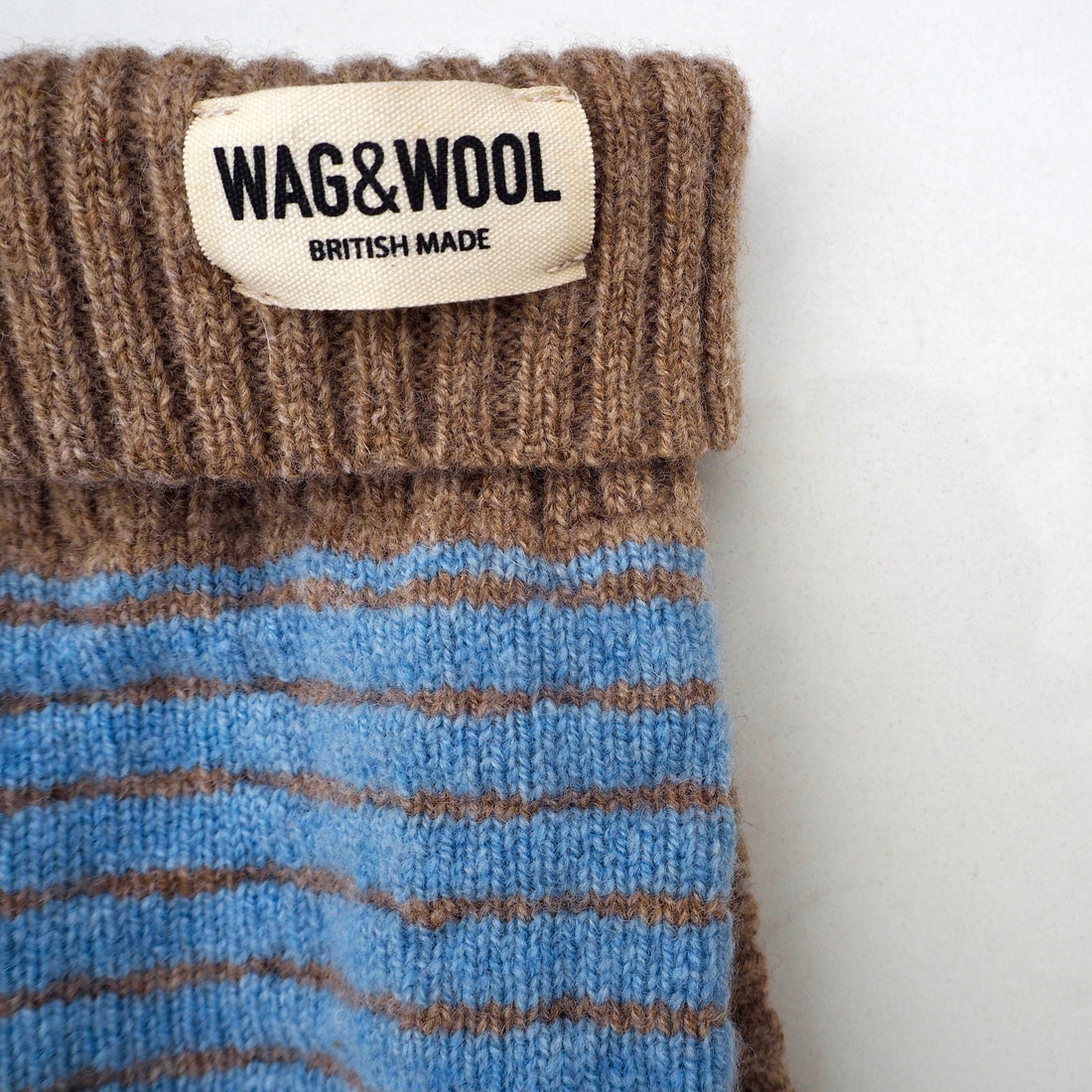 dog jumper closeup 