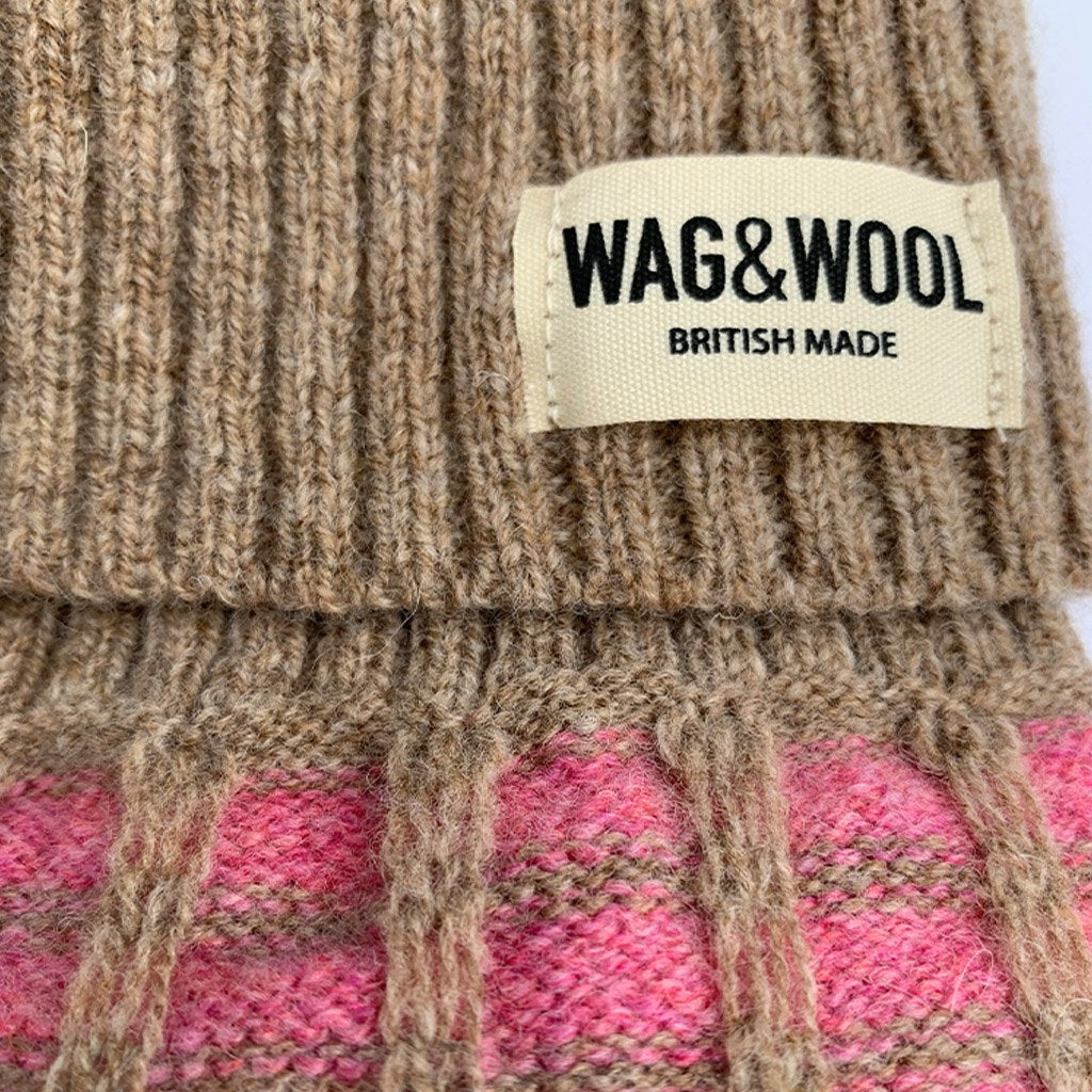pink dog jumper closeup