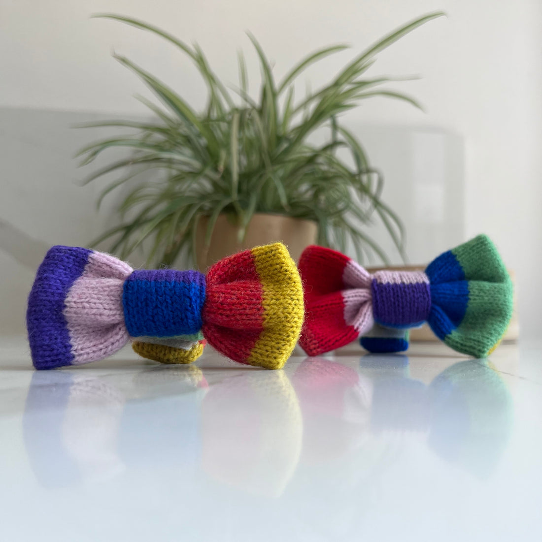 rainbow dog bow tie product closeup