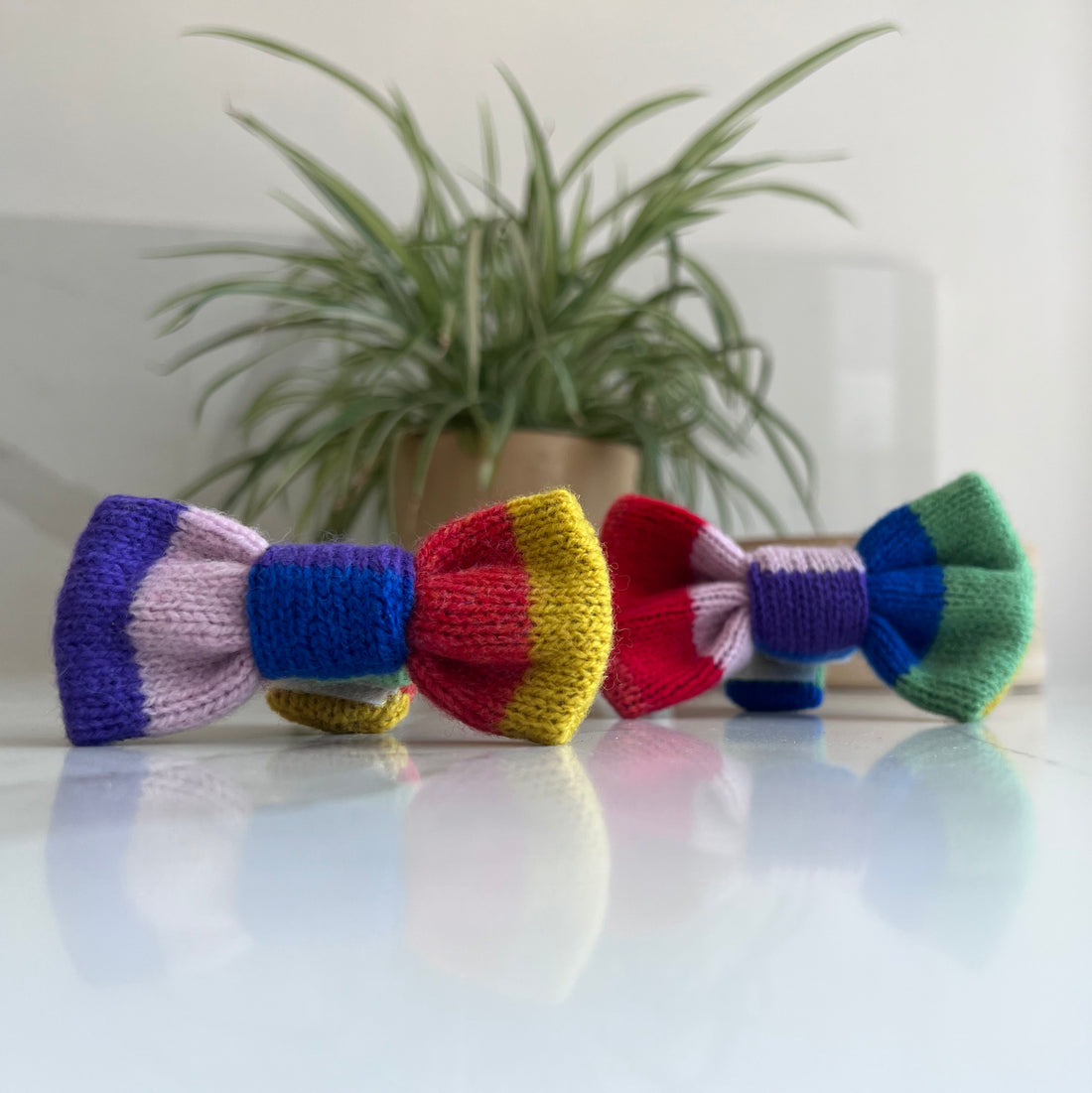 rainbow dog bow tie product closeup