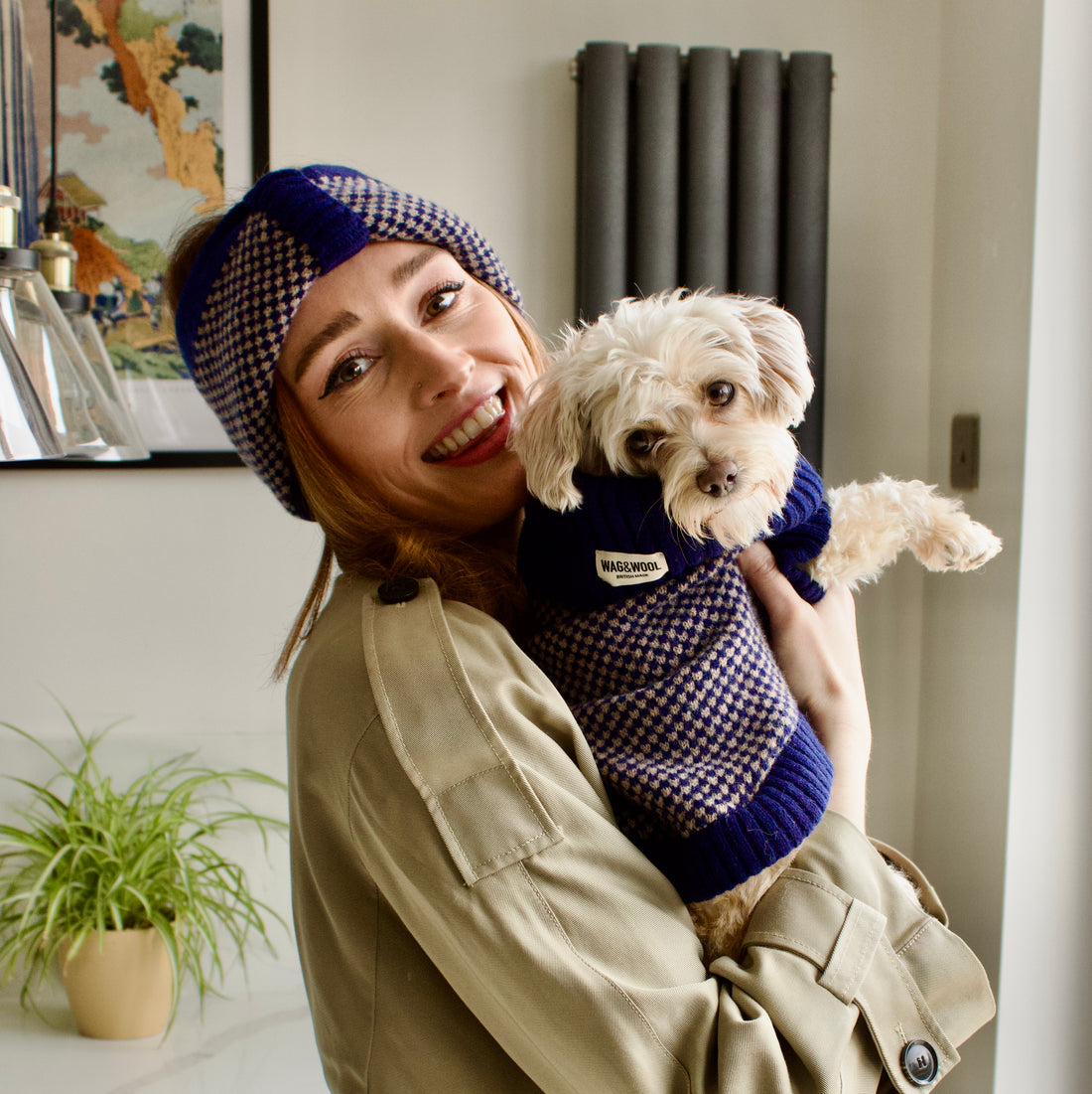 dog in a navy dog jumper and matching headband on a lady