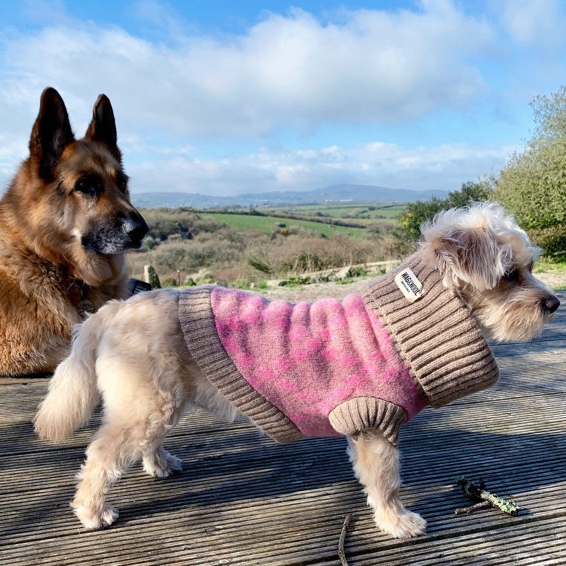 PINK DOG JUMPER CHIPOO