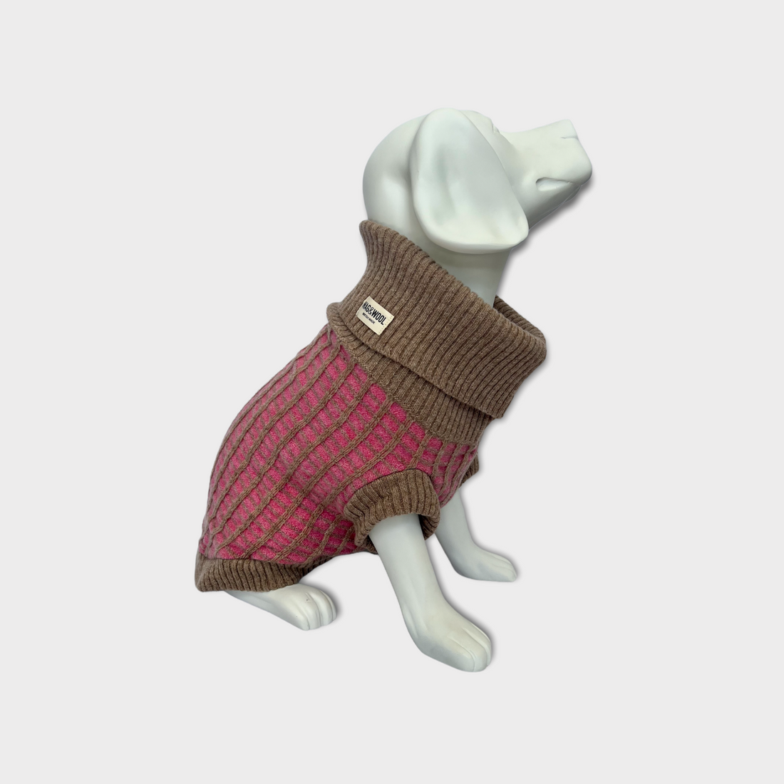 dog mannequin in a dog jumper 