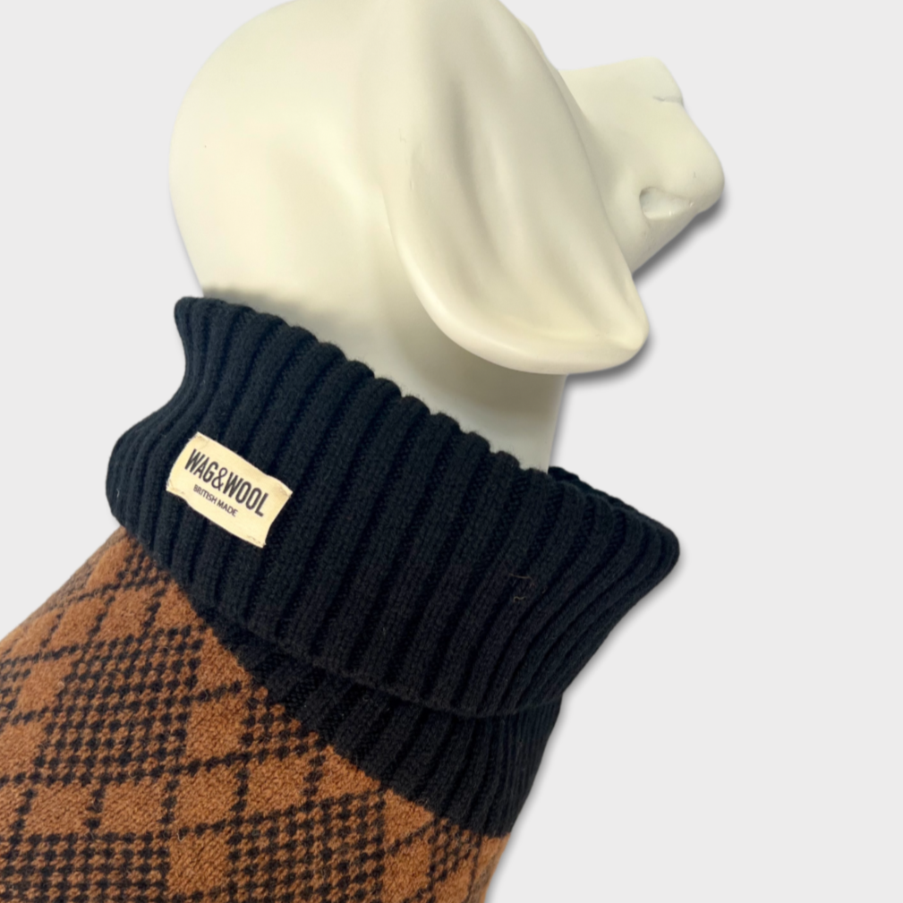 mannequin in a dog jumper 