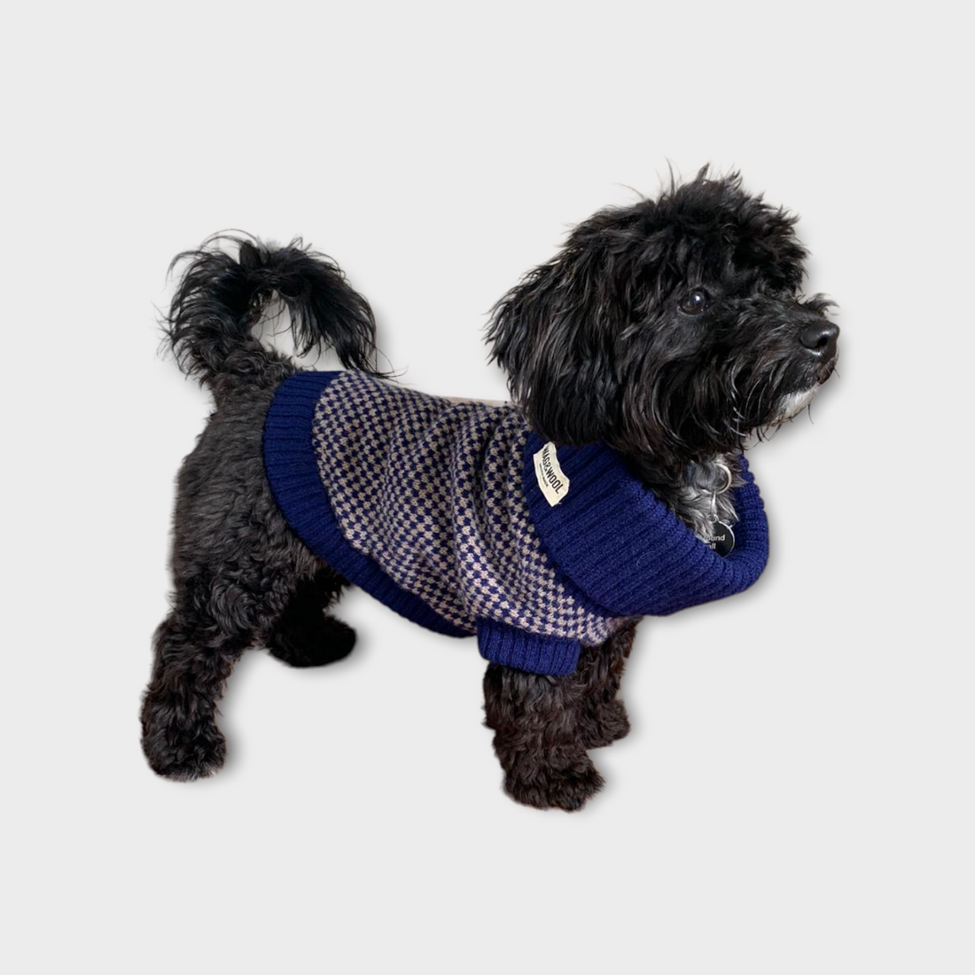 check puppy jumper in navy