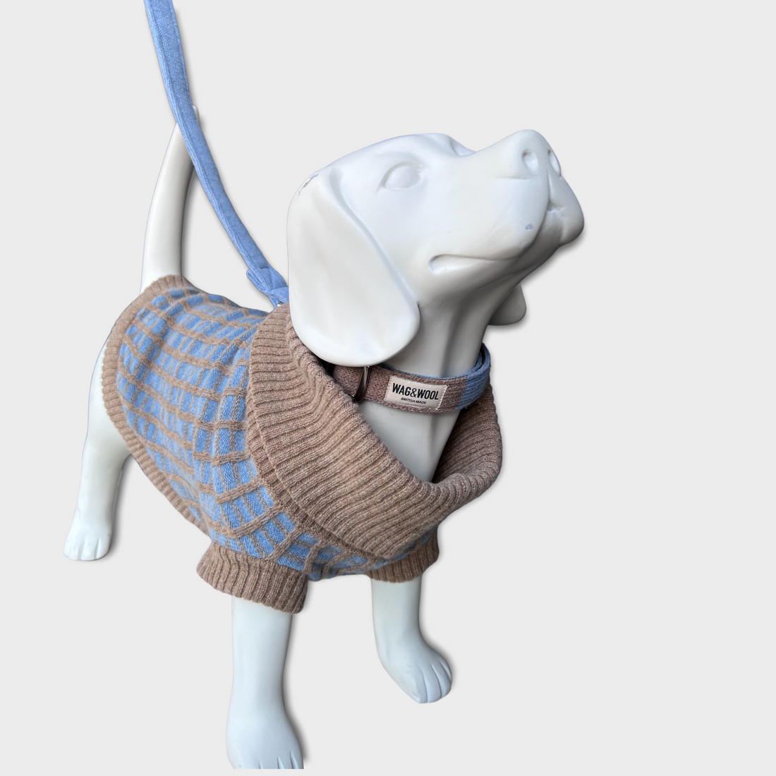 dog mannequin in a blue dog jumper and matching lead 
