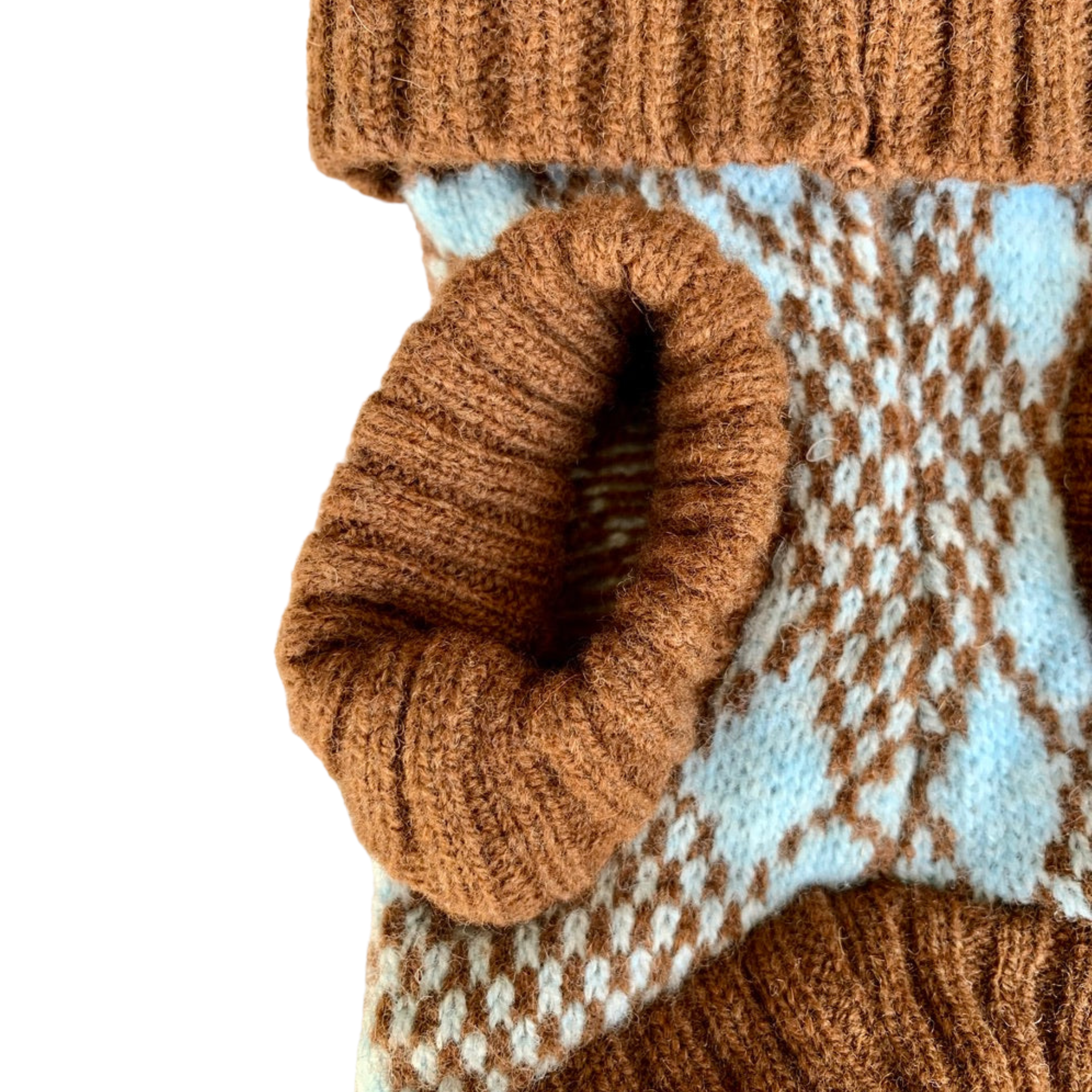 turquoise and brown dog jumper with legs