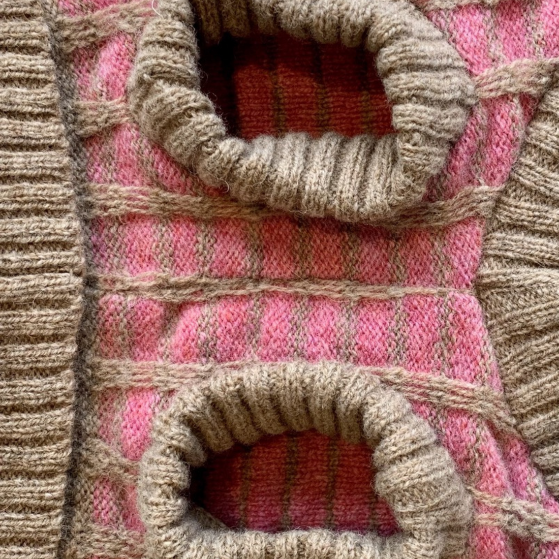 dog legs close up of pink dog jumper 