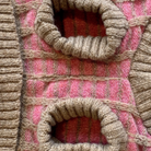 pink dog jumper legs 
